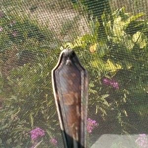 Shell soup spoon vintage Rockford Silver Plated